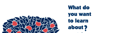 What do you want to learn about?